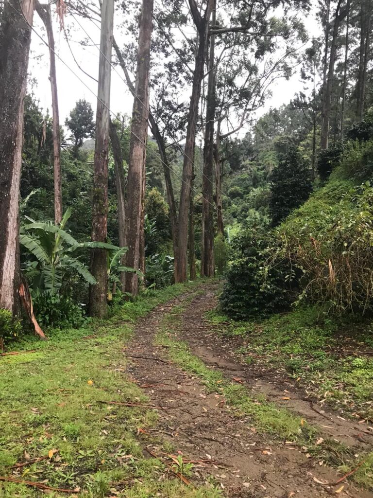 WhatsApp Image 2021-12-16 at 8.22.45 AM